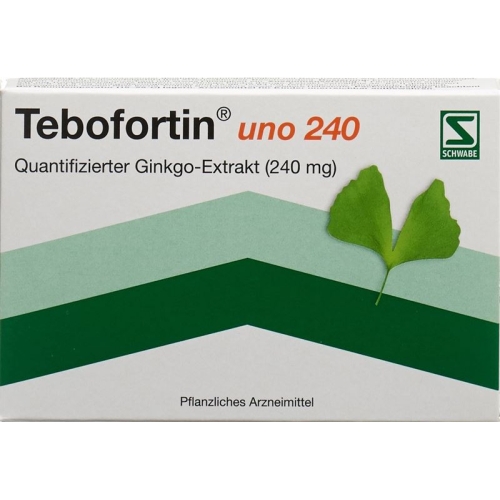 Tebofortin Uno 240 Filmtabletten 240mg 40 Stück buy online