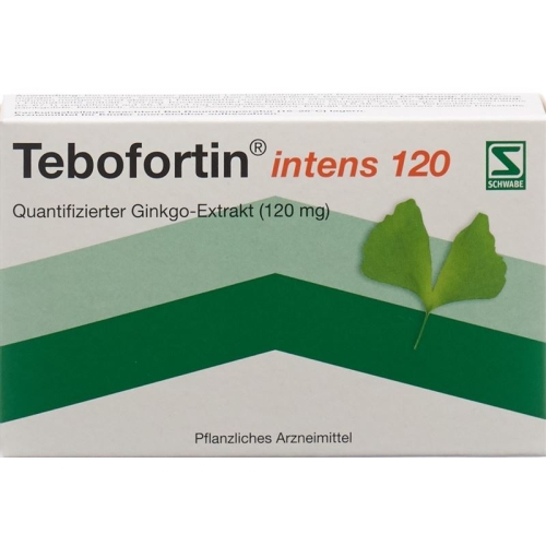 Tebofortin Intens 120 Filmtabletten 120mg 30 Stück buy online