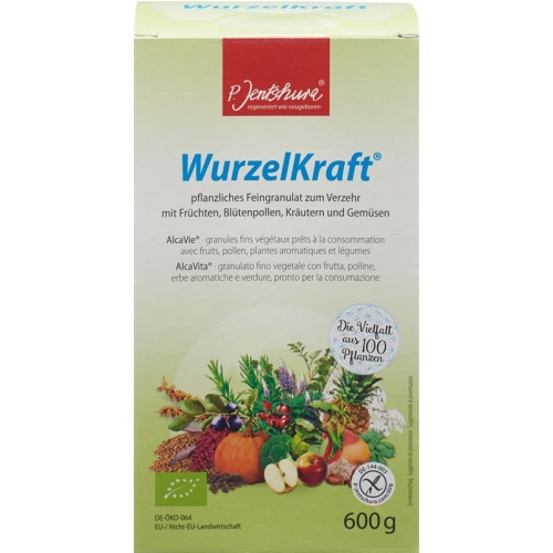 Jentschura Wurzelkraft Feingranulat Bio 600g buy online