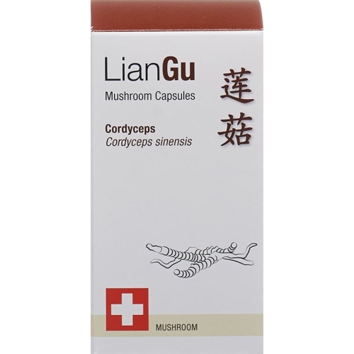 LianGu Cordyceps Mushrooms Capsules Can 60 Pieces buy online