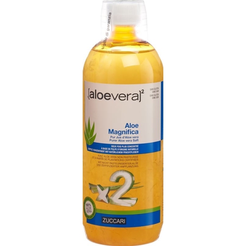 Zuccari Aloe Magnifica Flasche 1L buy online