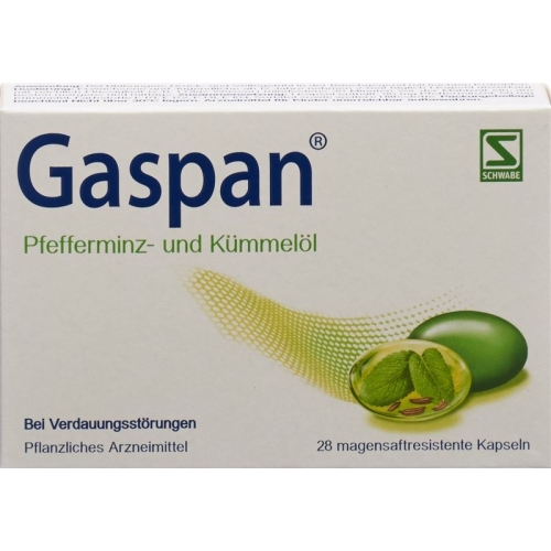 Gaspan Kapseln Magensaftresistent 28 Stück buy online