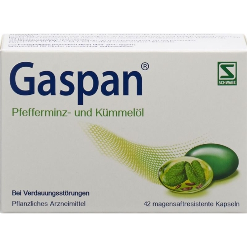 Gaspan Kapseln Magensaftresistent 42 Stück buy online