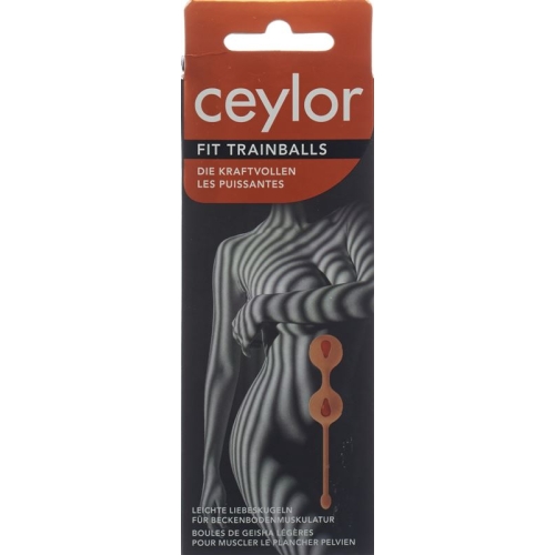 Ceylor Fit Trainballs love balls buy online