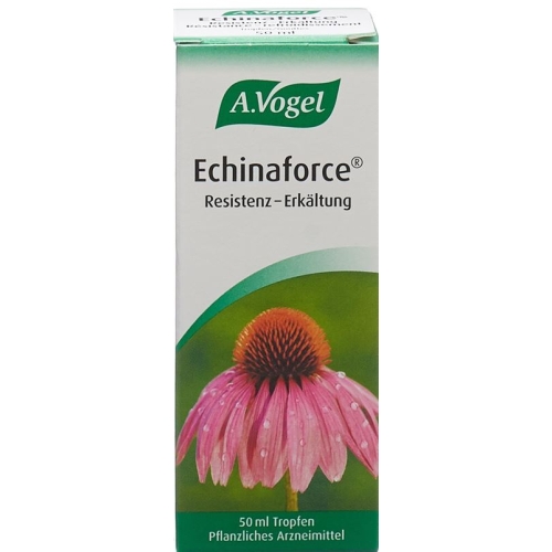 Vogel Echinaforce Resistenz-Erkältung Tropfen 50ml buy online