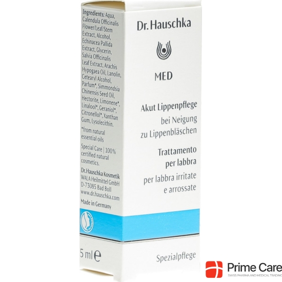 Dr. Hauschka Med Acute Lip Care Labimint buy online