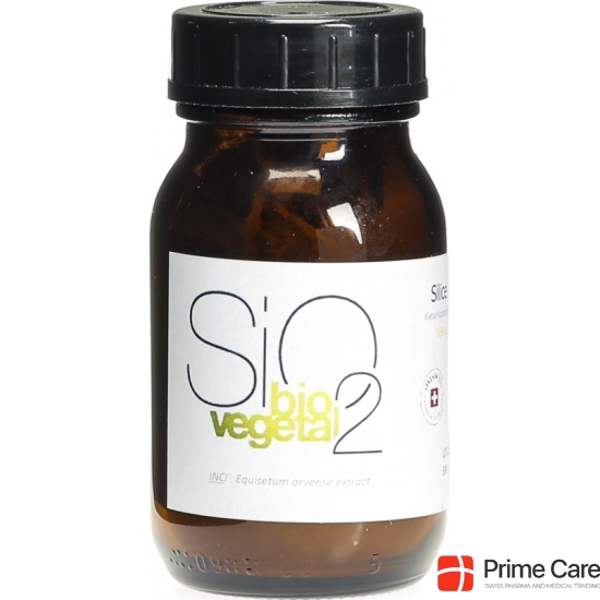 Kart Schachtelhalm Kieselpulver 50g buy online