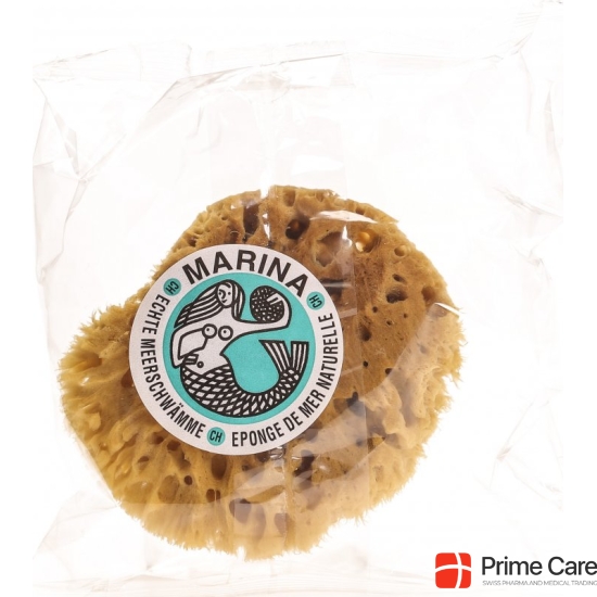 Marina Natural Sponge Gangave Media 14cm buy online