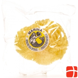 Marina natural sponge Venise 18cm