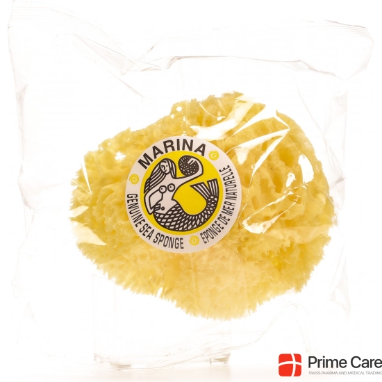Marina natural sponge Venise 18cm buy online