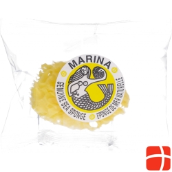 Marina natural sponge Venise 8cm