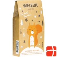 Weleda Gift Set Mini Sea Buckthorn 2020