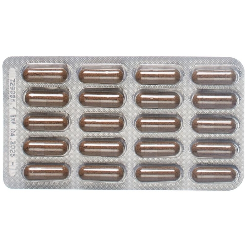 Padma Cogniben Capsules Blister 60 Piece buy online