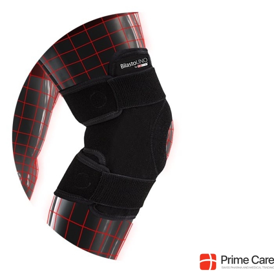 Bilasto Uno Knee bandage S-XL with Velcro buy online