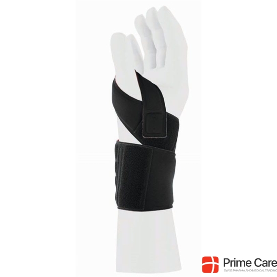 Manu Carezza Universal buy online