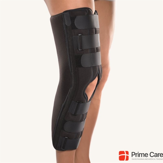 Bort Immobilisations Schiene 20 buy online