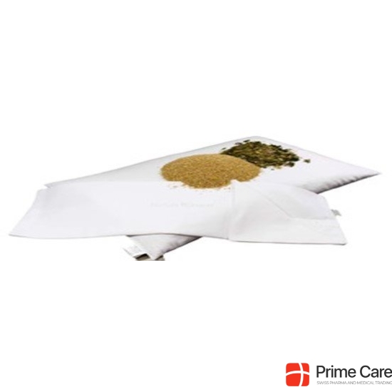 Himmelgrün Relax Schlaf Kissen 40x60cm Hirse Zirb buy online