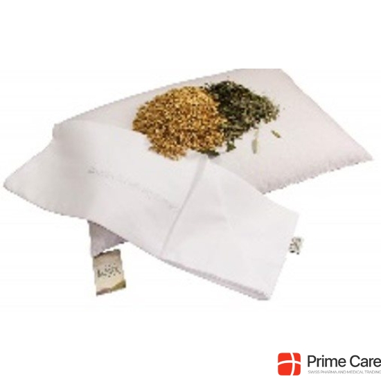 Sky green cold pillow 40x60cm breathless buy online