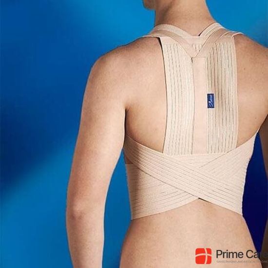 Mediroyal Posture XXL 10-115cm Beige buy online