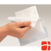 Gazin Faltkompressen 9x7.5cm 16-fach Steril 30x 5 Stück