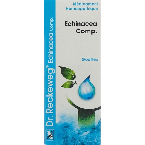 Reckeweg R193 Echinacea Comp. Tropfen Flasche 50ml buy online