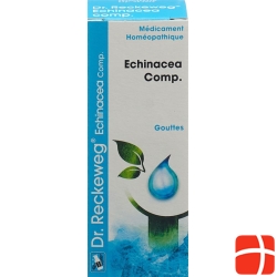 Reckeweg R193 Echinacea Comp. Tropfen Flasche 50ml