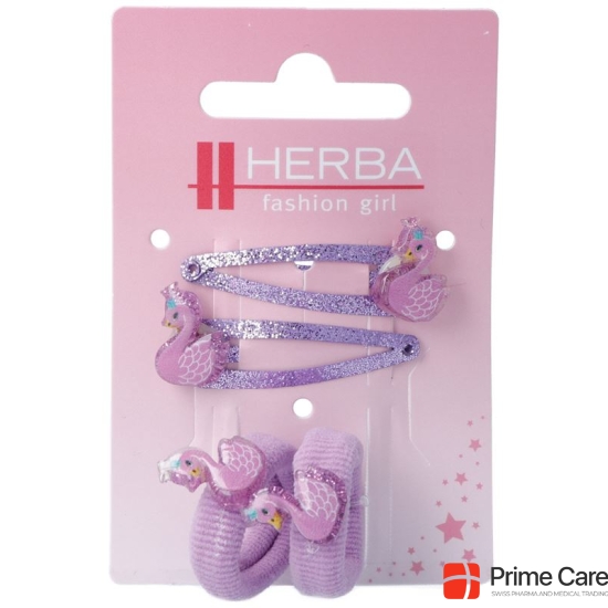Herba Kids clips hair + 1 Binder 4 pcs