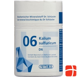 Phytomed Schüssler Nr. 6 Tabletten D 6 Lactosefrei 2000 Stück