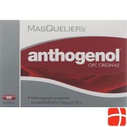 Masquelier's Anthogenol Kapseln mit Opc 60 Stück