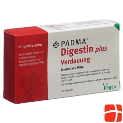 Padma Digestin Plus Capsules Blister 60 Pieces