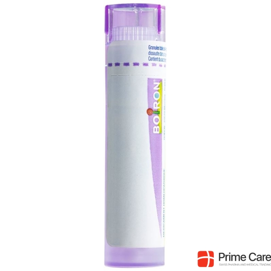 Boiron Antimonium crudum Gran C 30 4 g buy online