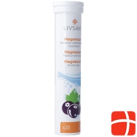 Livsane Magnesium Schwarzer Johannisbeeren 20 Stück