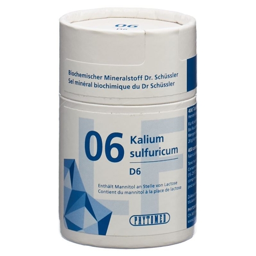 Phytomed Schüssler Nr. 6 Tabletten D 6 Lactosefrei 2000 Stück buy online