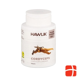 Hawlik Cordyceps Pulverkapseln 250 Stück