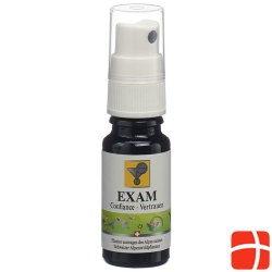 Odinelixir Blüteness Fertigmi Exam Spray 10ml