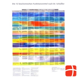 Phytomed Schuessler poster with logo