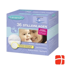 Lansinoh Stilleinlagen Einweg 36 X