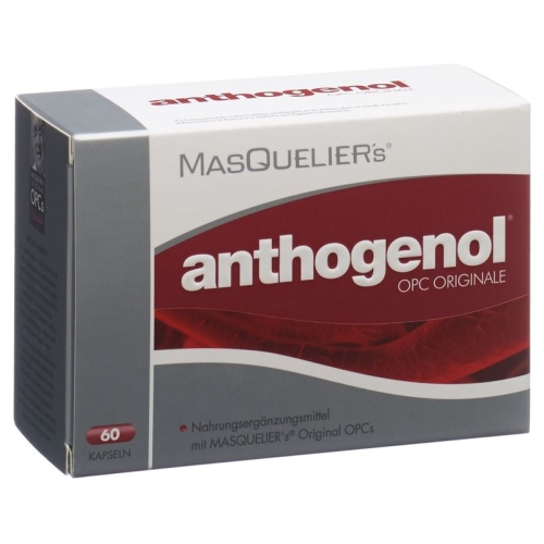 Masquelier's Anthogenol Kapseln mit Opc 60 Stück buy online