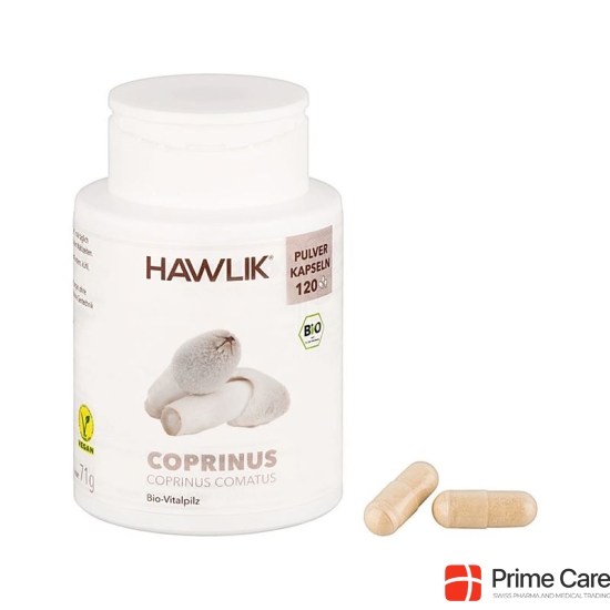 Hawlik Coprinus Pulverkapseln 250 Stück buy online