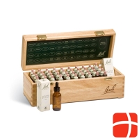 Bach-blüten Wooden Box 40x 20ml