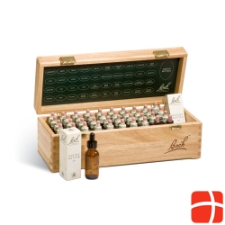 Bach-blüten Wooden Box 40x 20ml