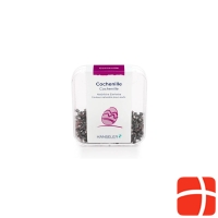 Hänseler cochineal Ds 5 g