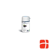 Biosana Blackcurrant Plus 410 mg 70 capsules