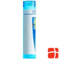 Boiron Mercury corrosivus Gran C 9 4 g