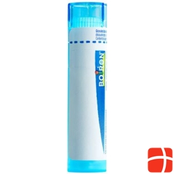Boiron Mercury corrosivus Gran C 9 4 g