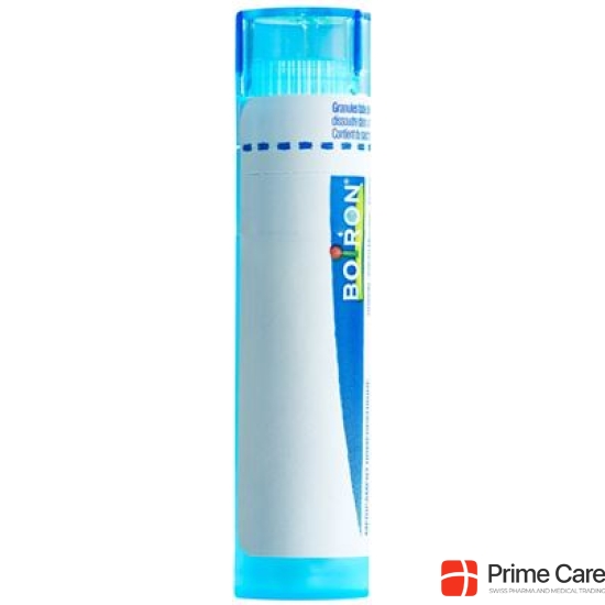 Boiron Mercury corrosivus Gran C 9 4 g