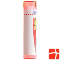 Boiron Spongia tosta Gran C 7 4g