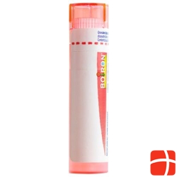 Boiron Spongia tosta Gran C 7 4g