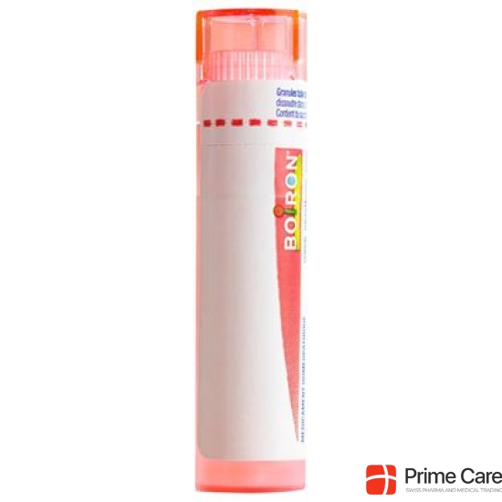 Boiron Spongia tosta Gran C 7 4g buy online
