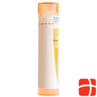 Boiron Stramonium Gran C 15 4g